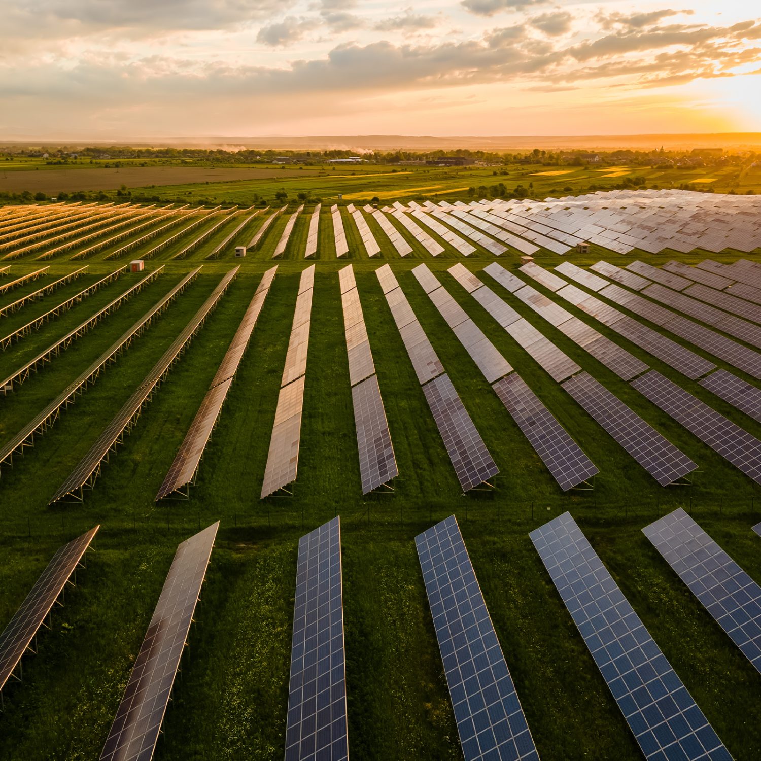 Rolling fields of solar panels with the sun setting in the background